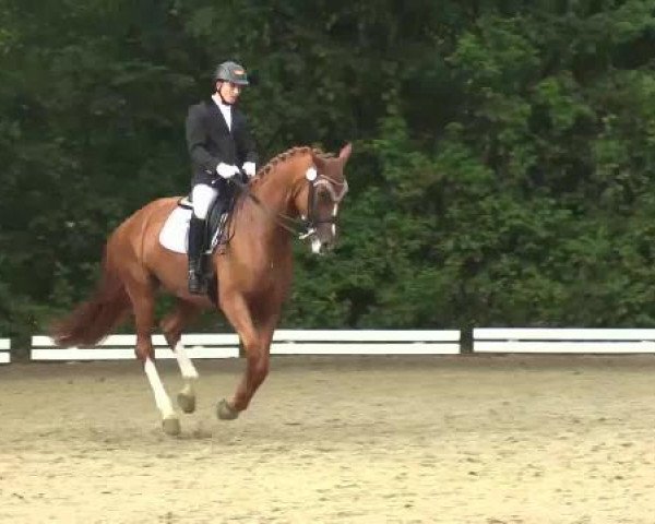 dressage horse Aronia Rubina (Rhinelander, 2006, from Abanos)