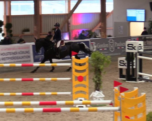 Reitturnier Negernbötel, 1. Nordic Jumping event 2020/2021