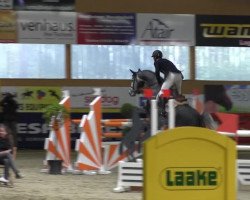 Pferd Chameur 147 (unbekannt, 2008)