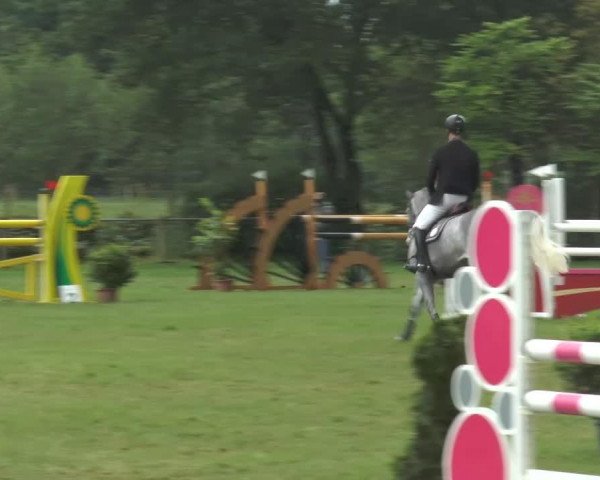 jumper Cristago (Westphalian, 2009, from Cristallo I)