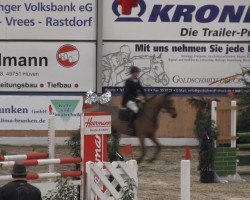 Springpferd Askan 677 (Holsteiner, 2009, von Askari)