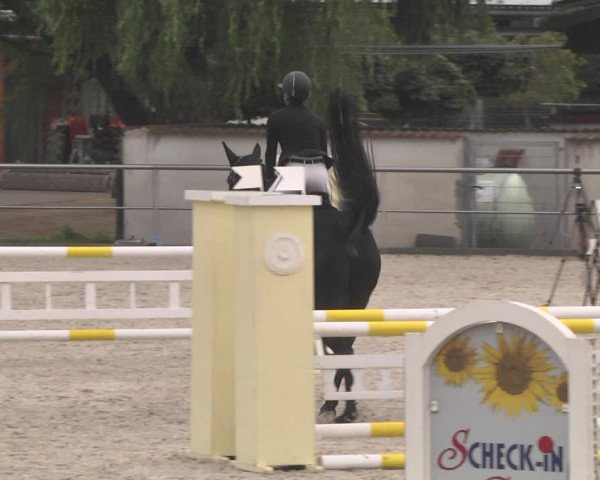 Reitturnier Achern 2020