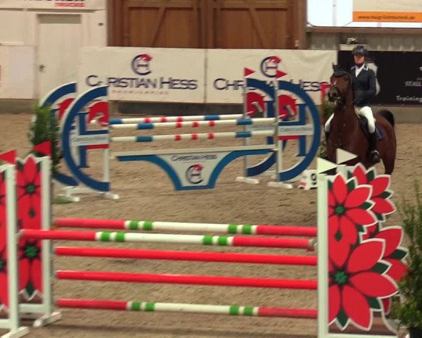 Reitturnier Negernbötel, 1. Nordic Jumping event 2020/2021