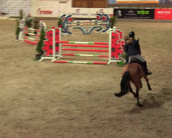 Reitturnier Negernbötel, 1. Nordic Jumping event 2020/2021