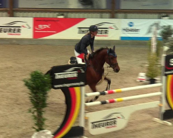 Reitturnier Negernbötel, 1. Nordic Jumping event 2020/2021