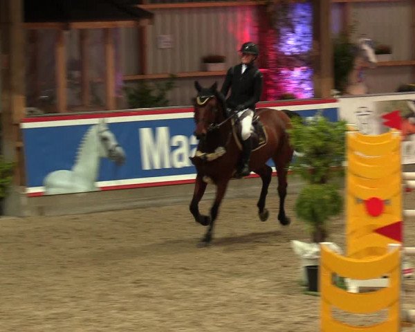 Reitturnier Negernbötel, 1. Nordic Jumping event 2020/2021