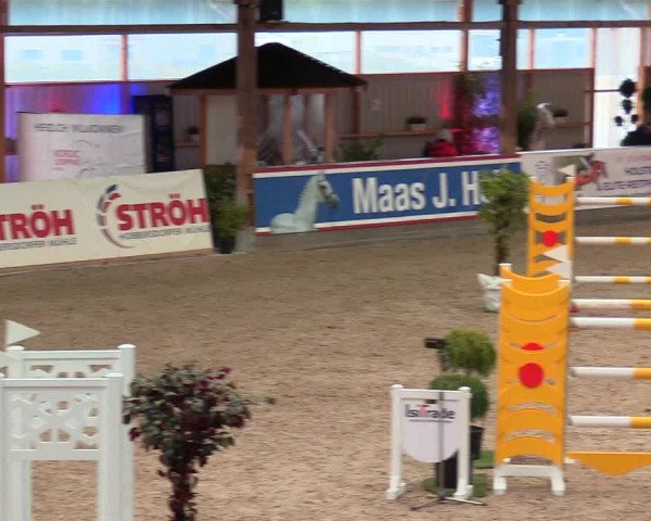 Reitturnier Negernbötel, 1. Nordic Jumping event 2020/2021