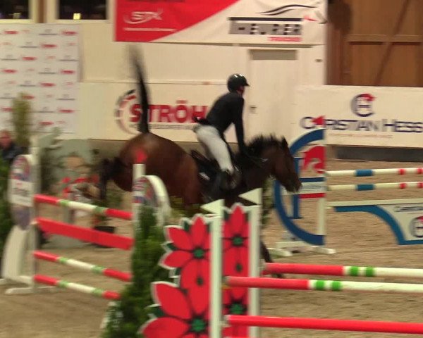 Reitturnier Negernbötel, 1. Nordic Jumping event 2020/2021
