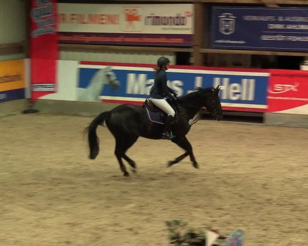 Reitturnier Negernbötel, 1. Nordic Jumping event 2020/2021