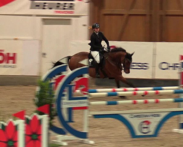 Reitturnier Negernbötel, 1. Nordic Jumping event 2020/2021