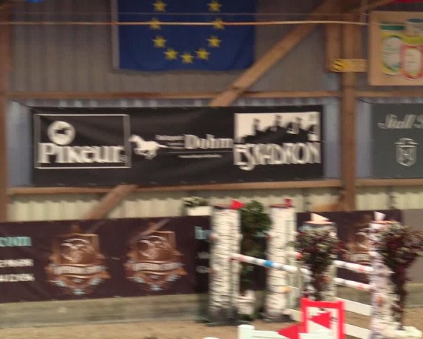 Reitturnier Negernbötel, 1. Nordic Jumping event 2020/2021