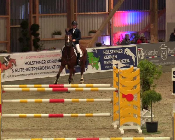 Reitturnier Negernbötel, 1. Nordic Jumping event 2020/2021