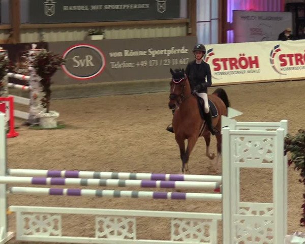 Reitturnier Negernbötel, 1. Nordic Jumping event 2020/2021