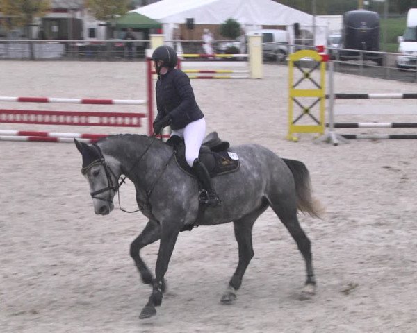 Reitturnier Achern 2020