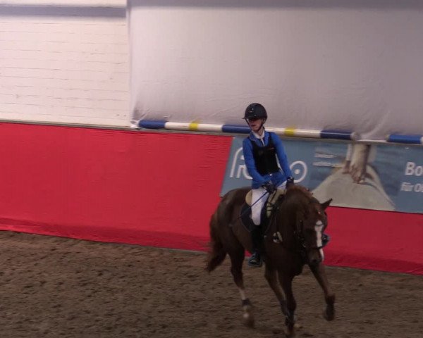 Reitturnier Salzkotten 2020