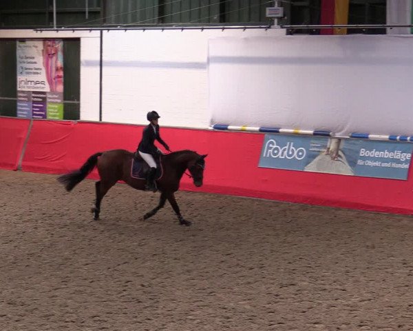 Reitturnier Salzkotten 2020