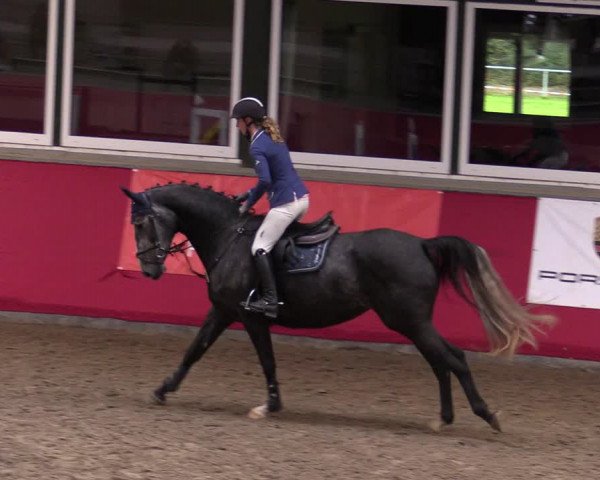 Reitturnier Salzkotten 2020