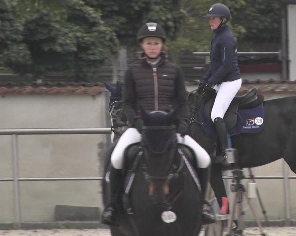 Reitturnier Achern 2020