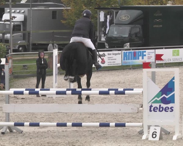 Reitturnier Achern 2020