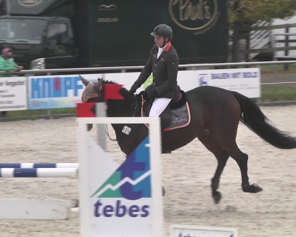 Reitturnier Achern 2020