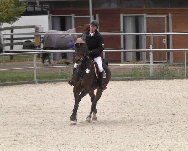 Reitturnier Achern 2020