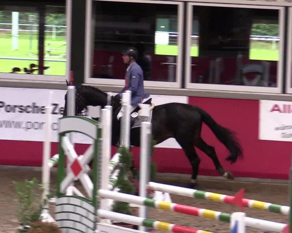 Reitturnier Salzkotten 2020