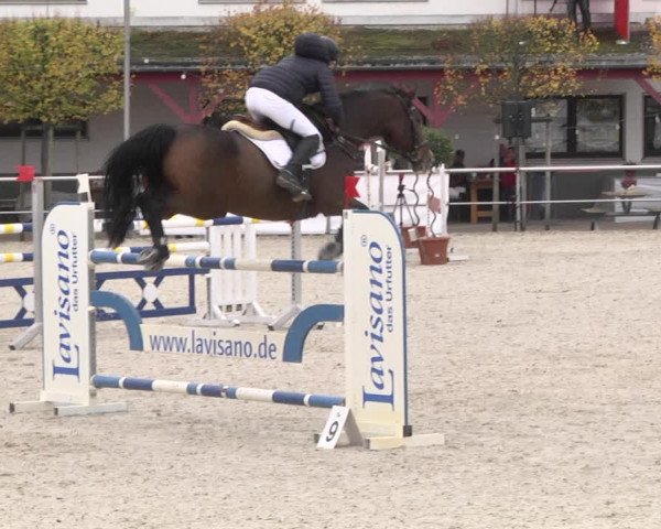 Reitturnier Achern 2020