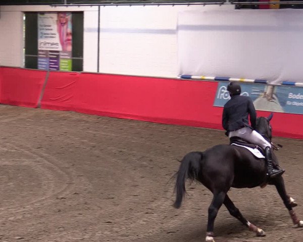 Reitturnier Salzkotten 2020