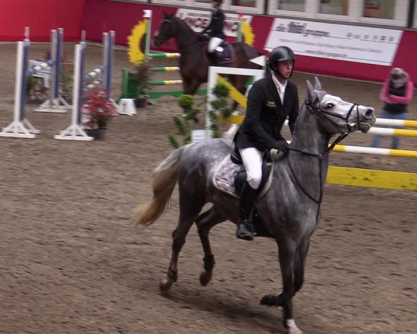 Reitturnier Salzkotten 2020