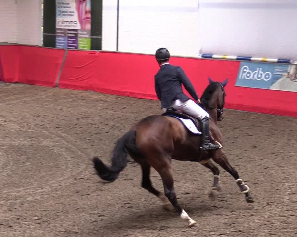 Reitturnier Salzkotten 2020