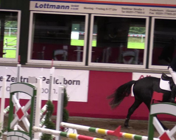 Reitturnier Salzkotten 2020
