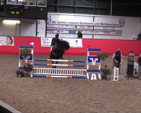 Reitturnier Salzkotten 2020