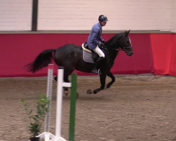 Reitturnier Salzkotten 2020
