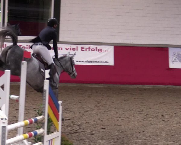 Reitturnier Salzkotten 2020