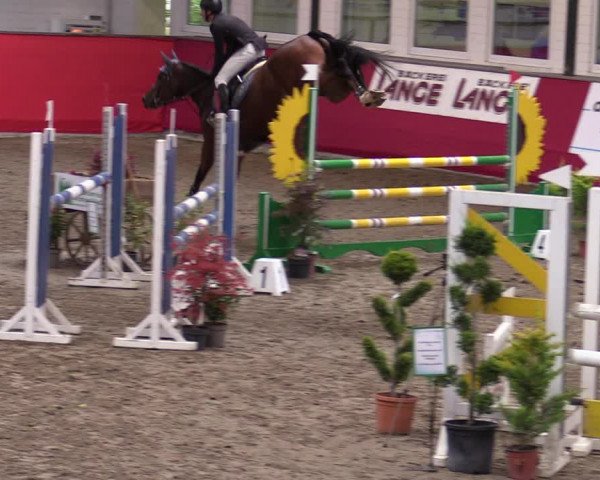 Reitturnier Salzkotten 2020