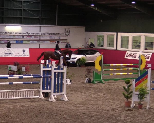 Reitturnier Salzkotten 2020