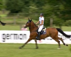 stallion C-Max (Hanoverian, 2009, from Canstakko)
