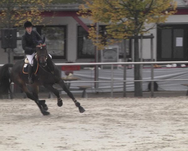 Reitturnier Achern 2020