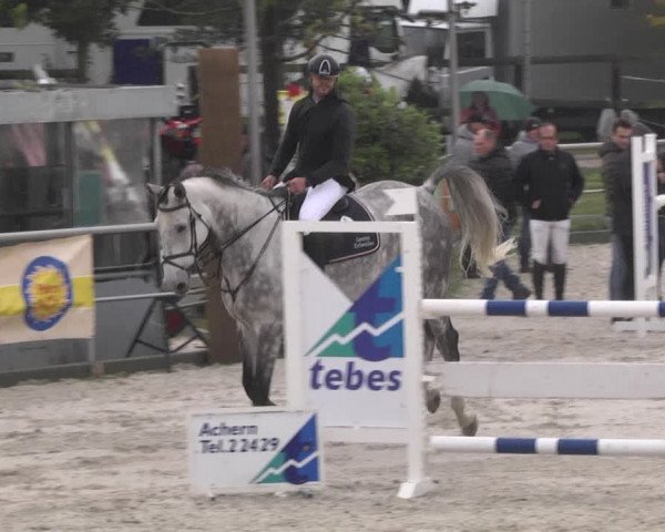 Reitturnier Achern 2020