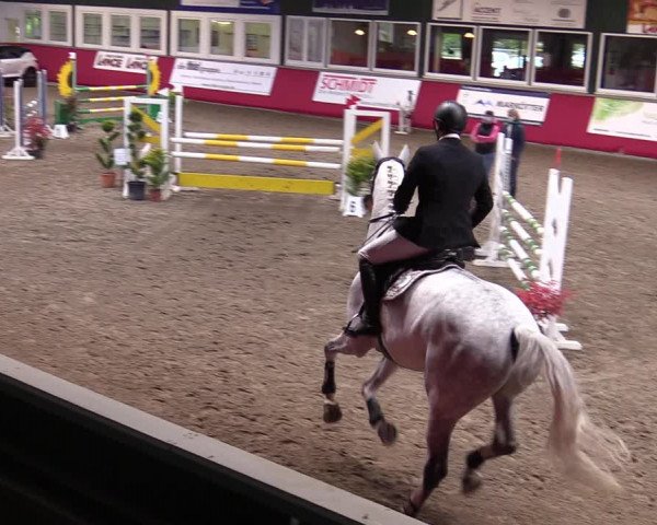Reitturnier Salzkotten 2020
