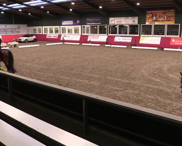 Reitturnier Salzkotten 2020