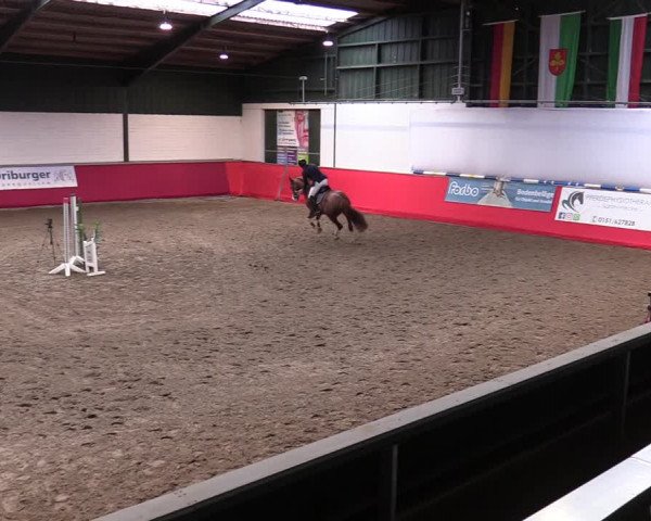 Reitturnier Salzkotten 2020