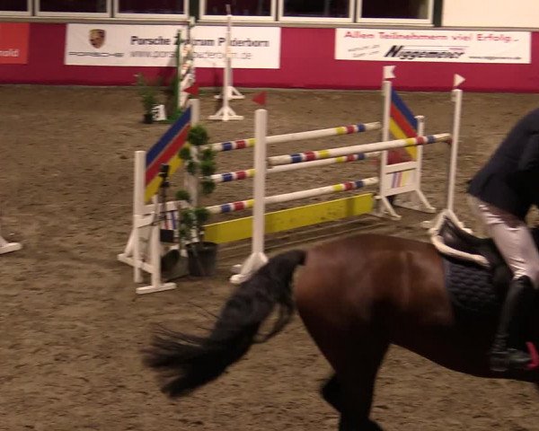 Reitturnier Salzkotten 2020
