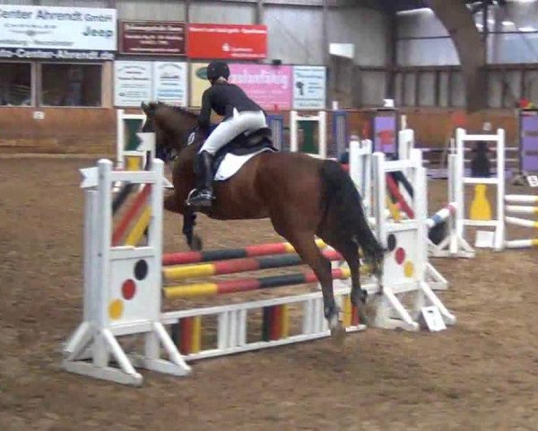 Jumper West Site Lotjarno (Danish Warmblood, 2003, from Lorentin II)