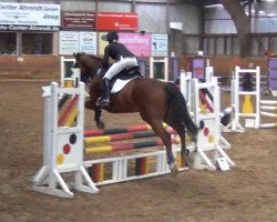 jumper West Site Lotjarno (Danish Warmblood, 2003, from Lorentin II)