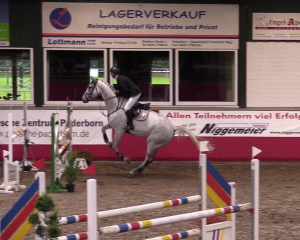 Reitturnier Salzkotten 2020