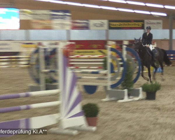 Reitturnier Isterberg 2020