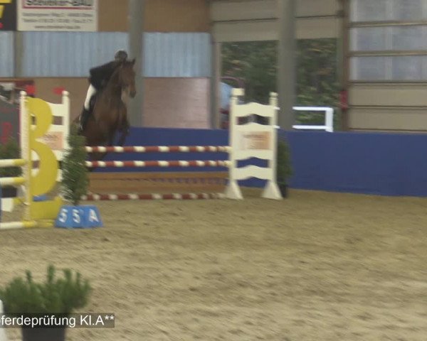 Reitturnier Isterberg 2020
