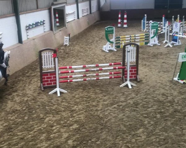 Reitturnier Hamm-Heessen 2021