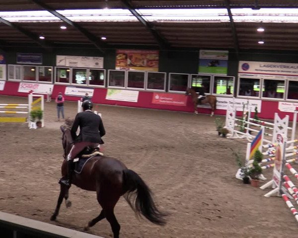 Reitturnier Salzkotten 2020